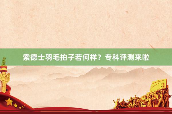 索德士羽毛拍子若何样？专科评测来啦